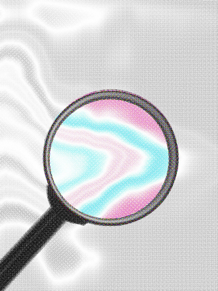 How “Transvestigation” Crawled Out of the Worst Corners of the Internet Into the Mainstream